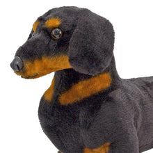 Load image into Gallery viewer, Dachshund - Plush
