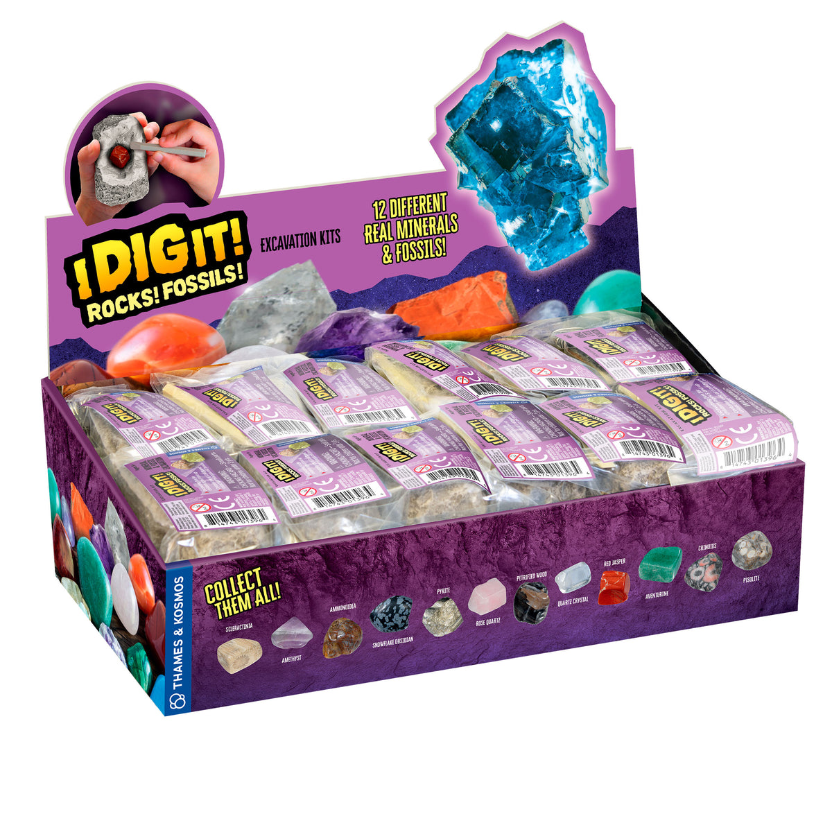 601607_IDIGIT_RocksFossils_dis