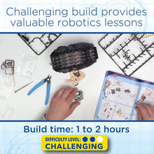 Load image into Gallery viewer, Tumbling Hedgehog