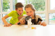 Load image into Gallery viewer, Crystal Growing