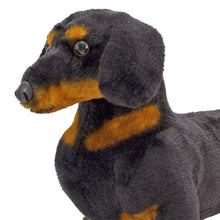 Load image into Gallery viewer, Dachshund - Plush
