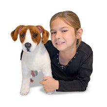 Load image into Gallery viewer, Jack Russell Terrier - Plush
